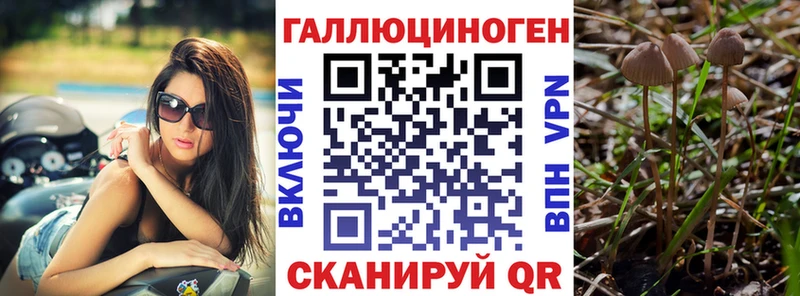 наркошоп  Томск  Псилоцибиновые грибы прущие грибы 